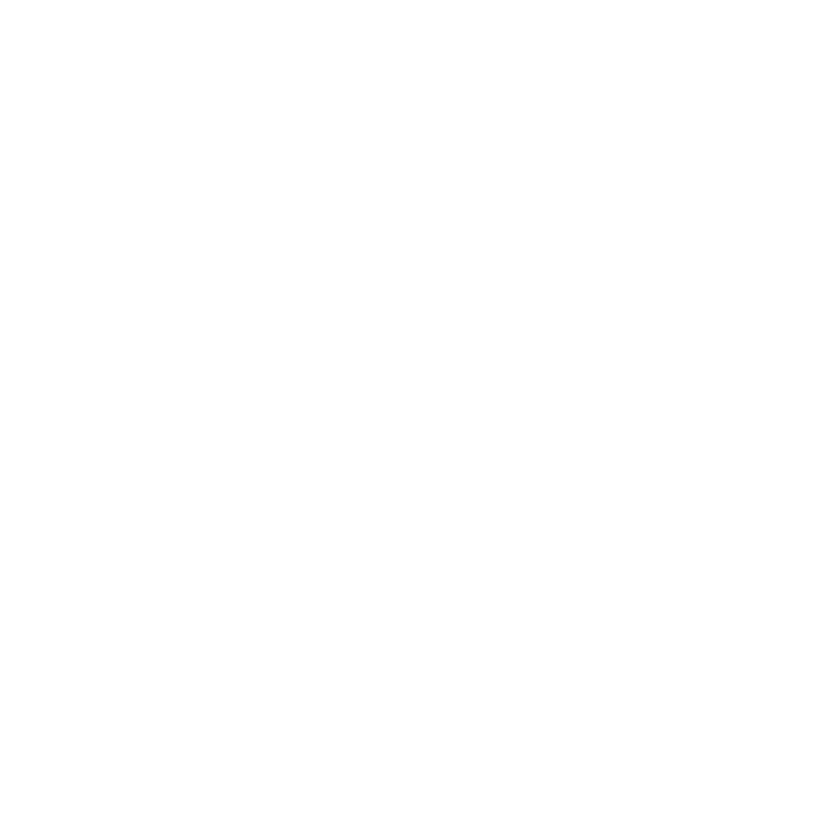 Cabo Airport Shuttle SJD